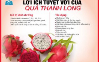 Dinh Dưỡng Từ Quả Thanh Long