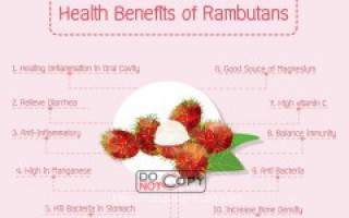 Dinh Dưỡng Từ Quả Chôm Chôm
