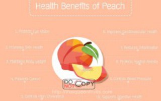 Dinh Dưỡng Từ Quả Đào