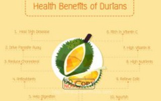 Dinh Dưỡng Từ Quả Sầu Riêng