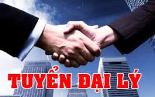 Nhận Hàng Sample - Đối Với Đại Lý Tiêu Biểu